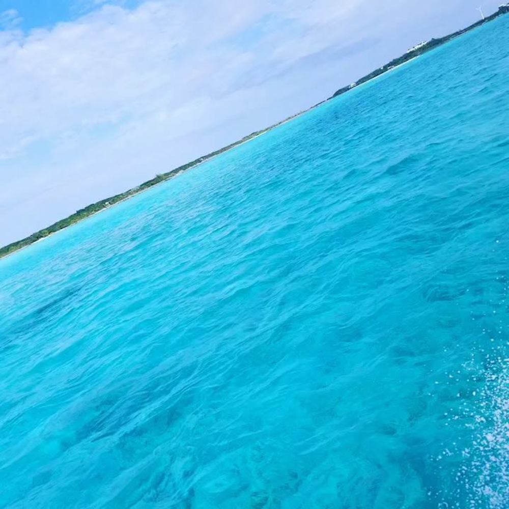 Meet your Posher, Jim